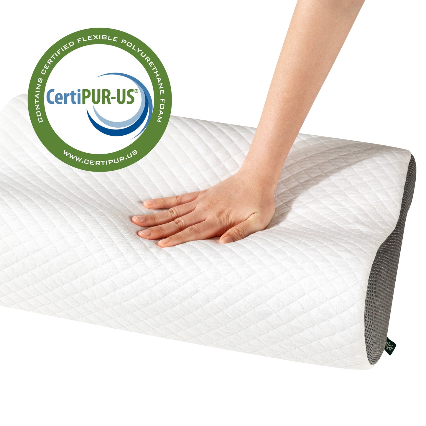 Bantal Zinus Charcoal Memory Foam Ergonomis