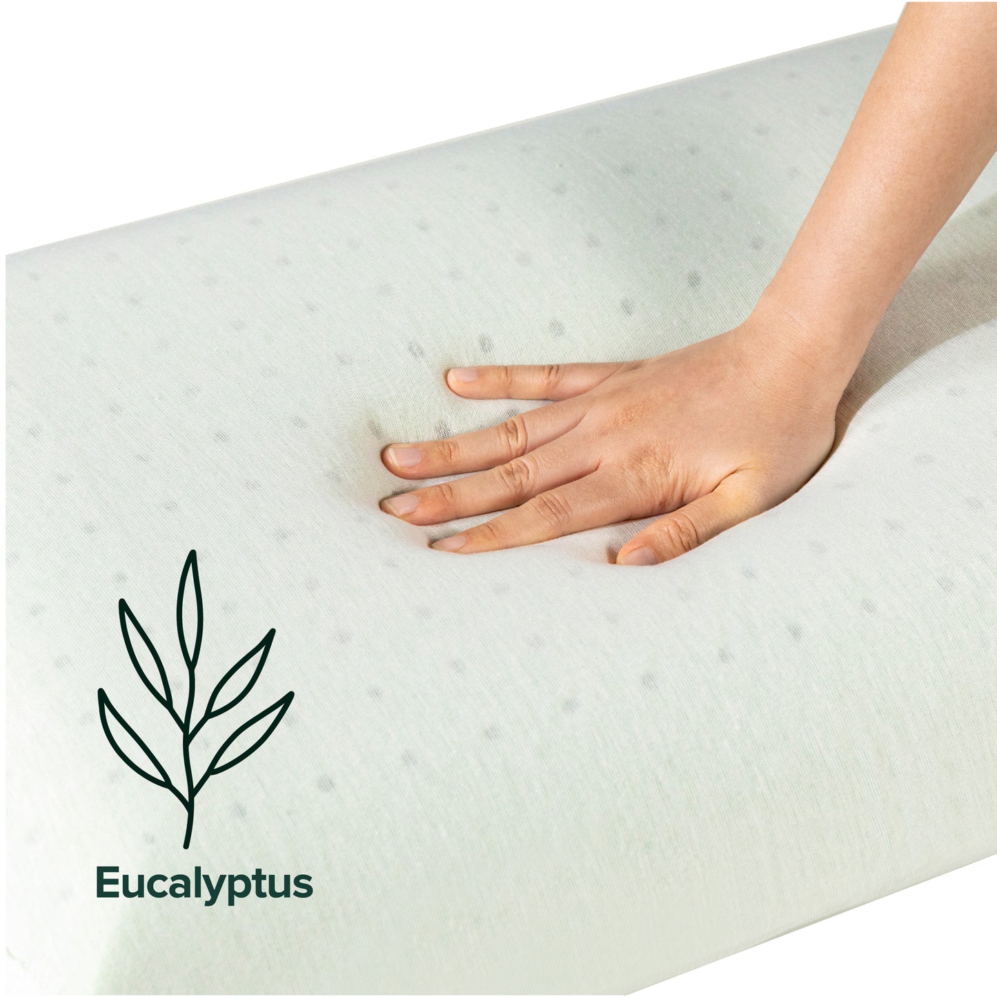 Bantal Zinus Eucalyptus Memory Foam